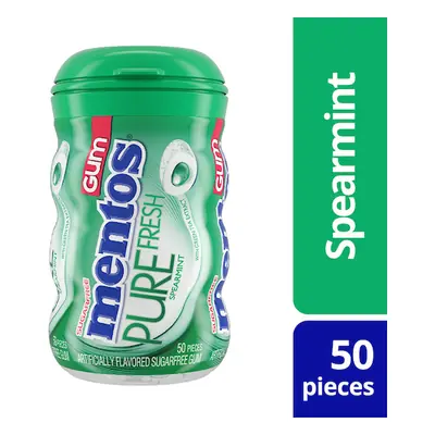 Mentos Gum Big Btl Spearmint - 6ct